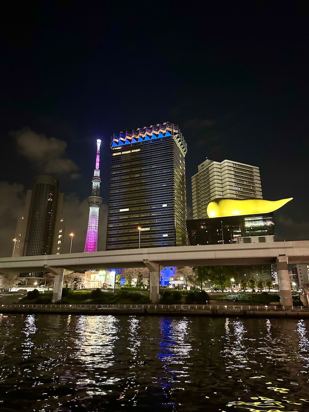 Tokyo Bay Cruise